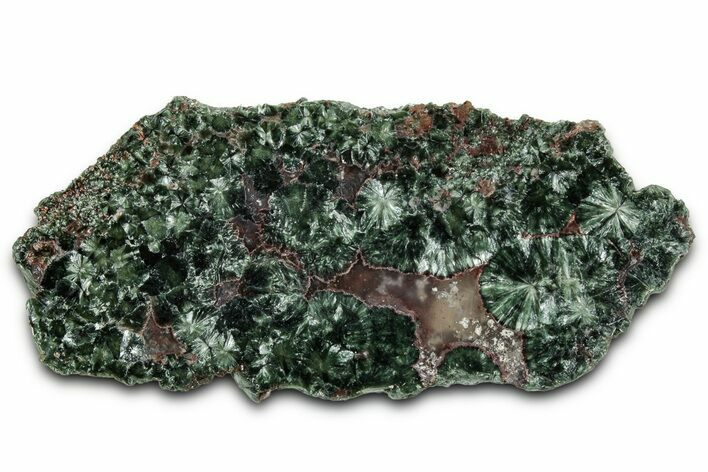 Polished Seraphinite Slab - Korshunovkiy Mine, Siberia #354264